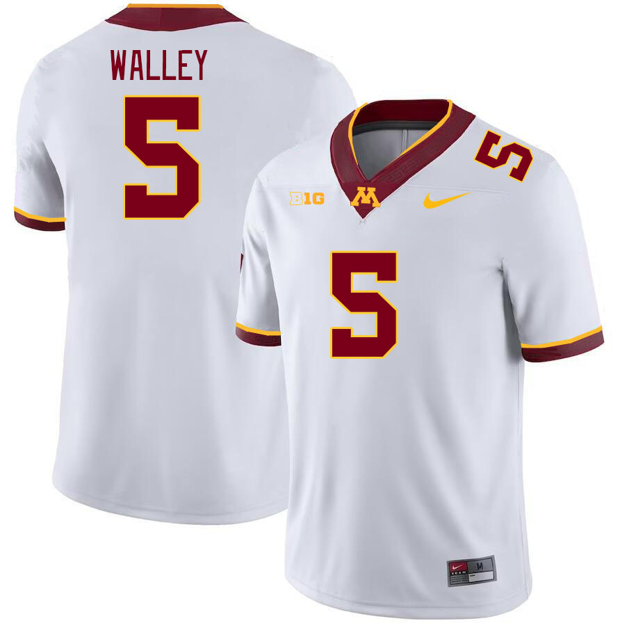 Men #5 Justin Walley Minnesota Golden Gophers College Football Jerseys Stitched-White - Click Image to Close